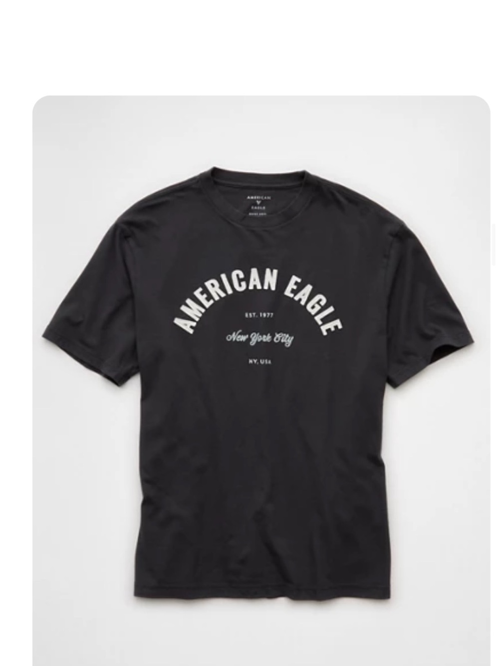 American Eagle Outfitters Men’s Dark Gray Graphic Logo T-Shirt